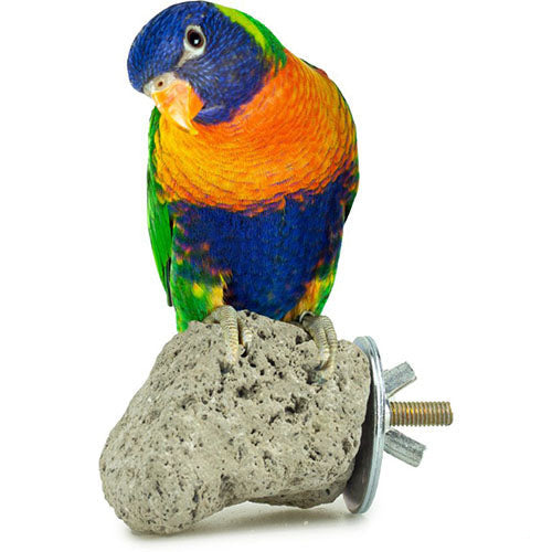 Back Zoo Nature Java Lava Stone - ca. 8 x 8 cm