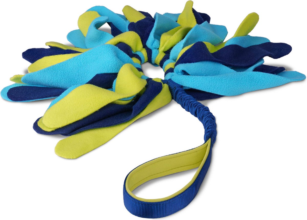 Coachi Tuggi Spider, marineblau, limette, 80 cm