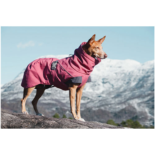 Hurtta Expedition Parka - warme winterjas in rood of grijs