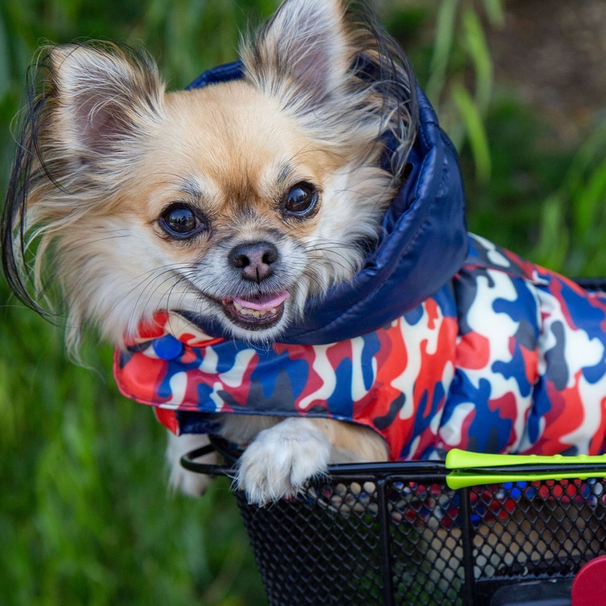 Croci - Omkeerbare Gewatteerde Hondenjas ASPEN - Camouflage/ Blauw - Ruglengte: 10 cm