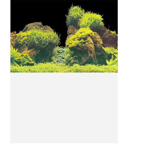 SuperFish Deco Poster E2 Achterwand - 60x49 cm