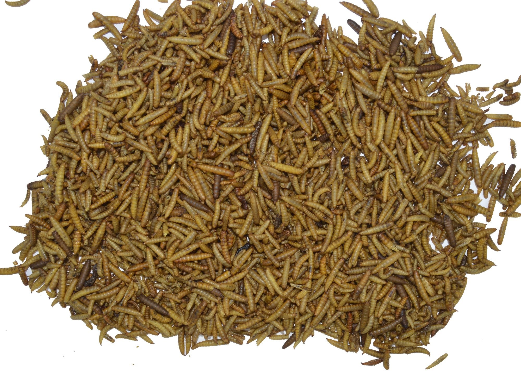 Garden heroes energy larves - gepofte larven