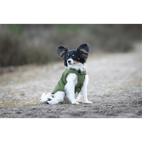 Jack and Vanilla Dogwalk Jacket Puffer Berlin - Warme Hondenjas - Roze - Verkrijgbaar in 8 maten