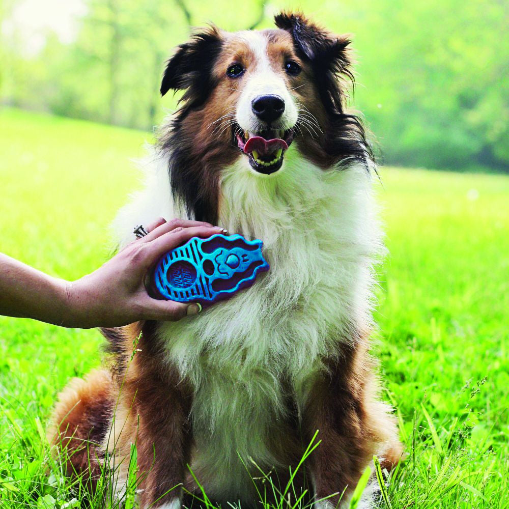 Kong Zoom Groom Gummi-Hundebürste, Blau