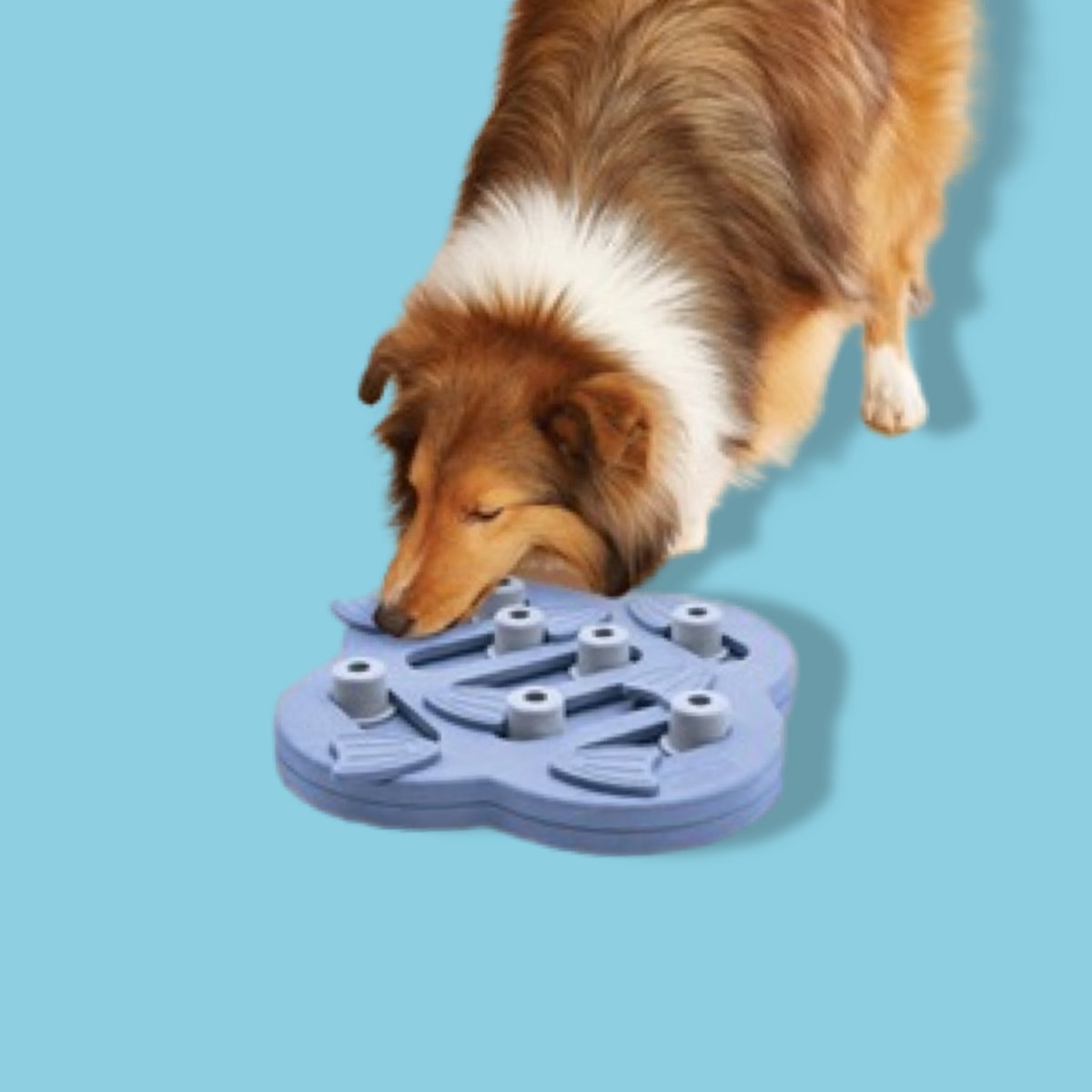 Nina ottosson dog hide n slide composiet 33x33x5 cm