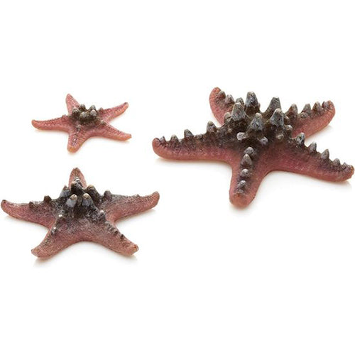 Biorb Seestern-Set - Rosa