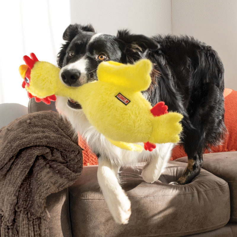 Kong hond scruffs chicken kip medium / large 44 cm