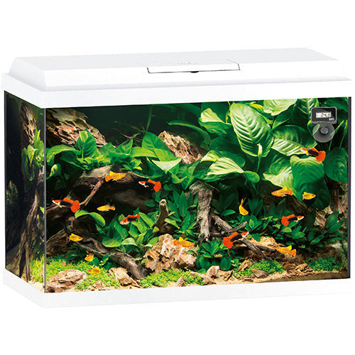 Juwel Primo 70 aquarium - 70 liter - 61 x 31 x 44 cm - wit of zwart
