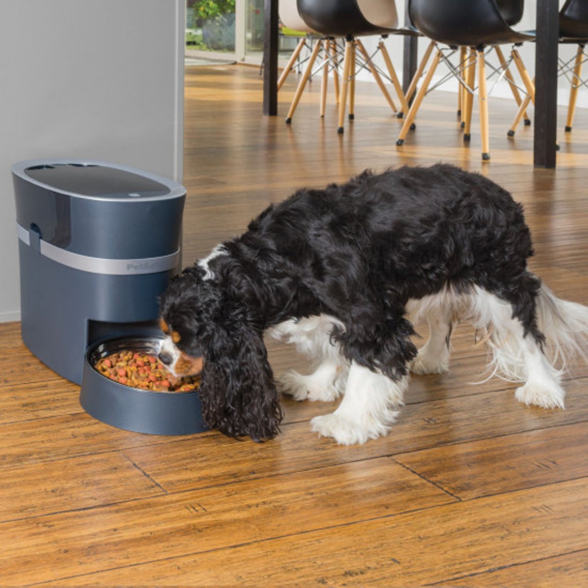 PetSafe® Smart Feed Automatic Pet Feeder - Met Wifi & APP bediening