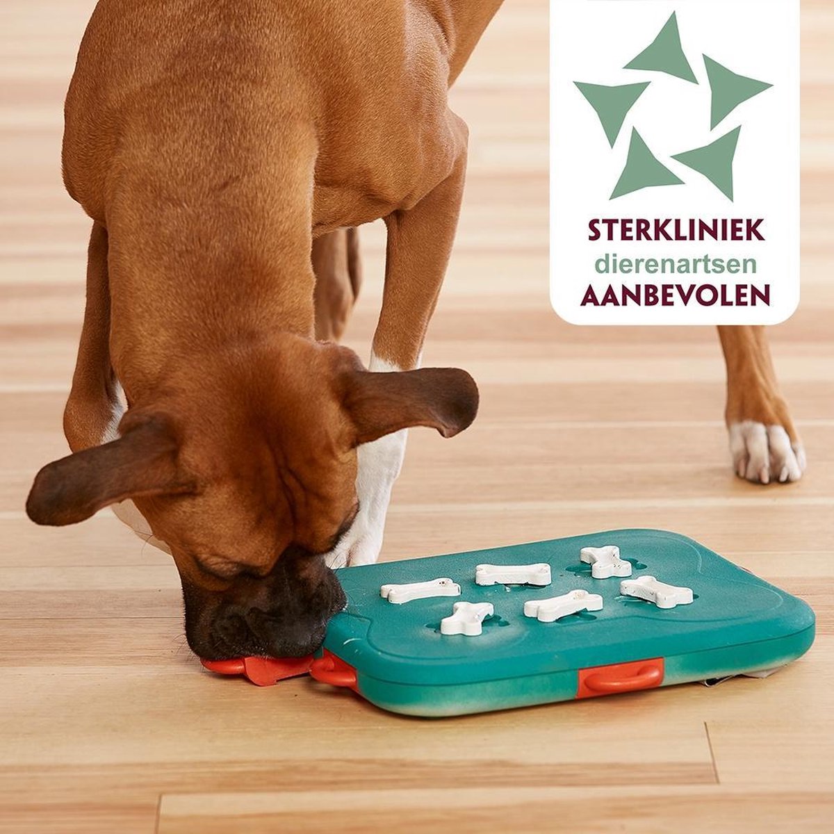 Nina Ottosson Dog Casino - Turquoise/Oranje - 31,5 x 26 x 4,5 cm