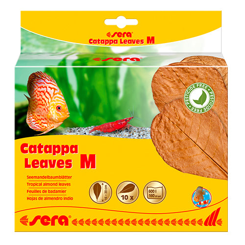 Sera Catappa Leaves S - M - XXL