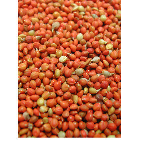 Panis Rote Hirse im Sack 1 - 20 - 25 kg