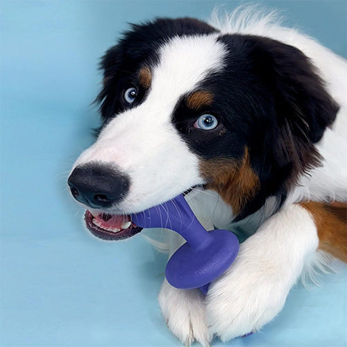 Nylabone Riesen-Kauspielzeug mit Speckgeschmack - Für große Hunde bis 23 kg