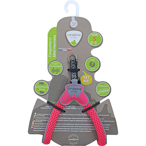 Coralpinia Minigeschirre Cinquetorri nur für sehr kleine Rassen