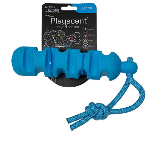 Jack and Vanilla Playscent dummy met bacon - runds - of kipsmaak - 24 cm