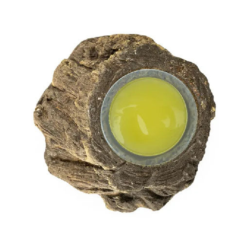 Back Zoo Nature Fruitcup Holder Bark - ⌀ 5 x 3 cm