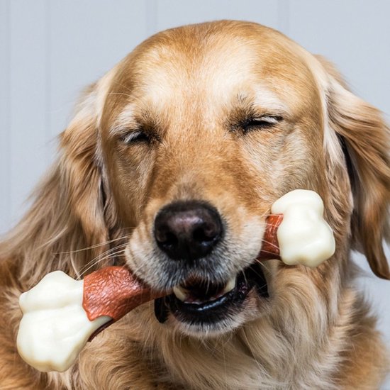 Nylabone Extreme Femur Rundssmaak