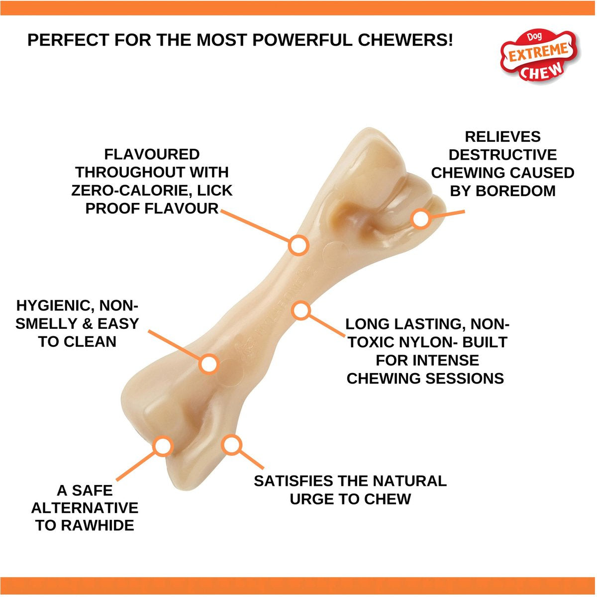 Nylabone dura chew harde bijters Big Beef bone