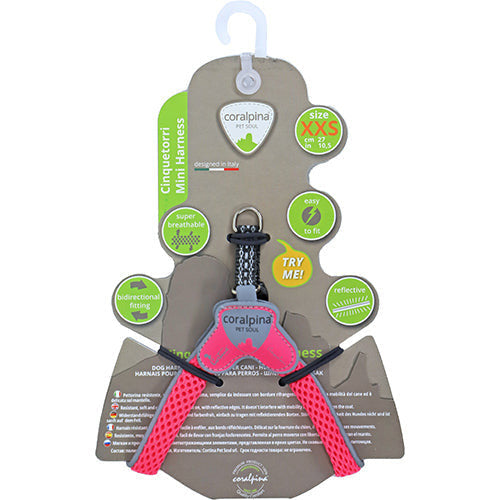 Coralpinia Minigeschirre Cinquetorri nur für sehr kleine Rassen