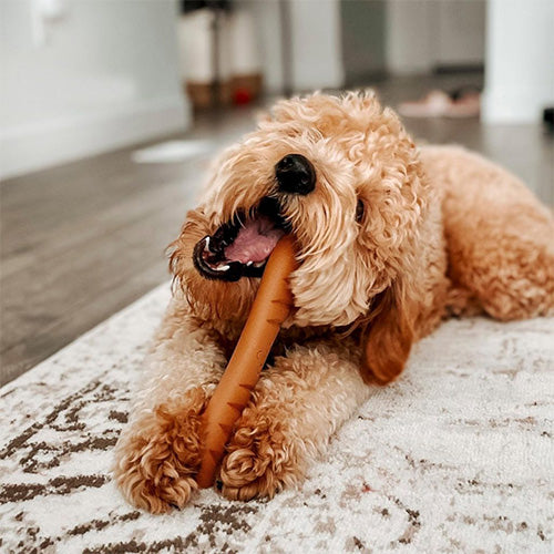 Nylabone Riesen-Baguette-Hühnchen-Kauspielzeug - Für Hunde bis 23 kg