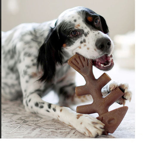 Benebone - fishbone - knaagspeelgoed kleine tot grote hond - 4 maten