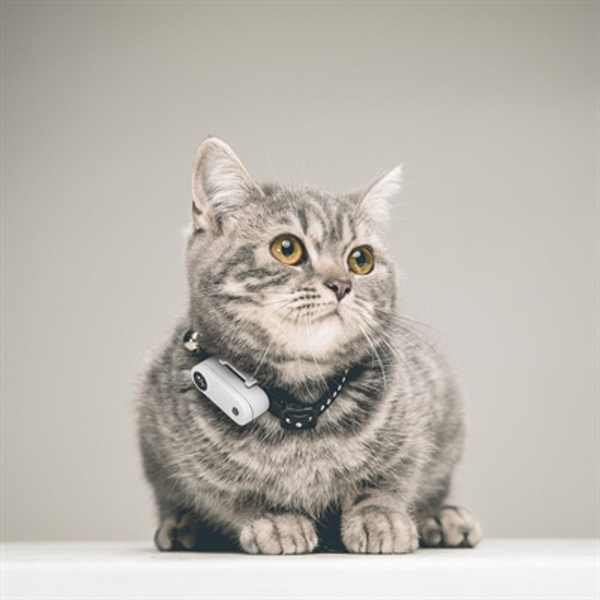 TICKLESS Zecken- und Flohabwehrmittel MINI CAT - WEISS (wiederaufladbare Version für extra lange Lebensdauer)