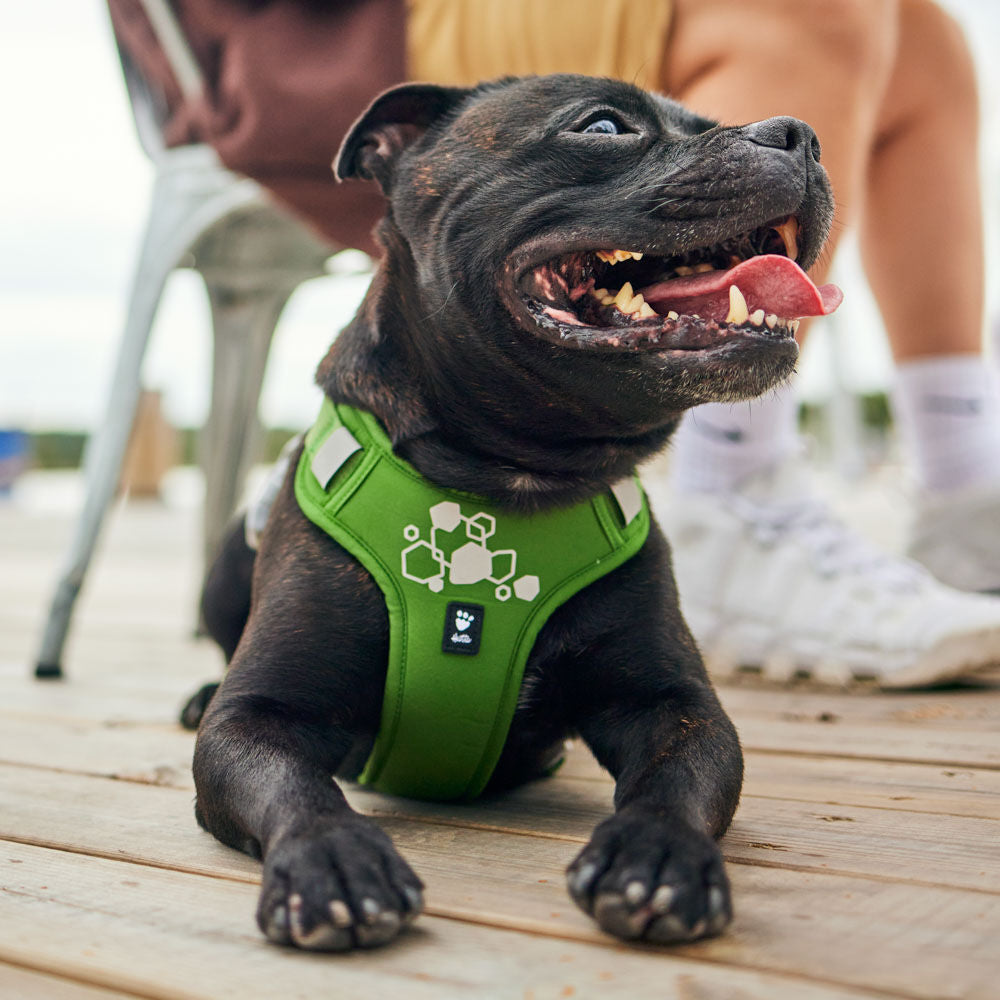 Hurtta weekend warrior harness eco 2 parsley groen