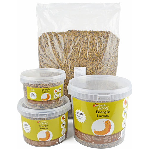 Garden heroes energy larves - gepofte larven