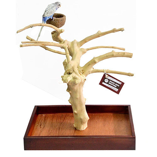 Back Zoo Nature Java speel stand