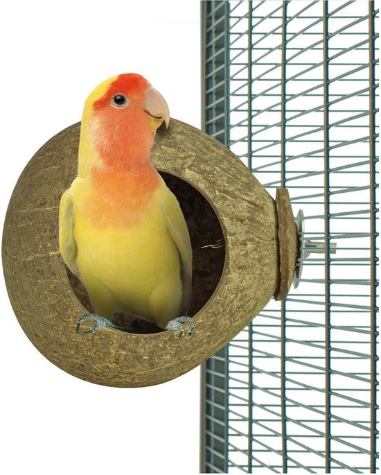 Zurück Zoo Natur Kokosnusshaus