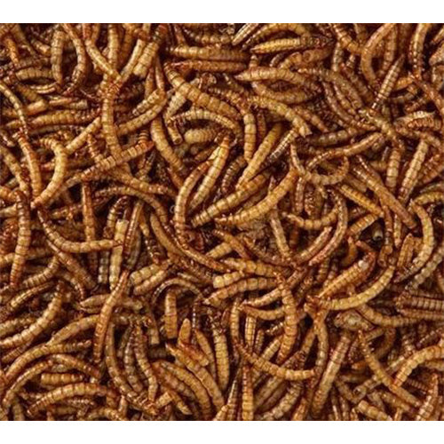 Garden Heroes meelwormen