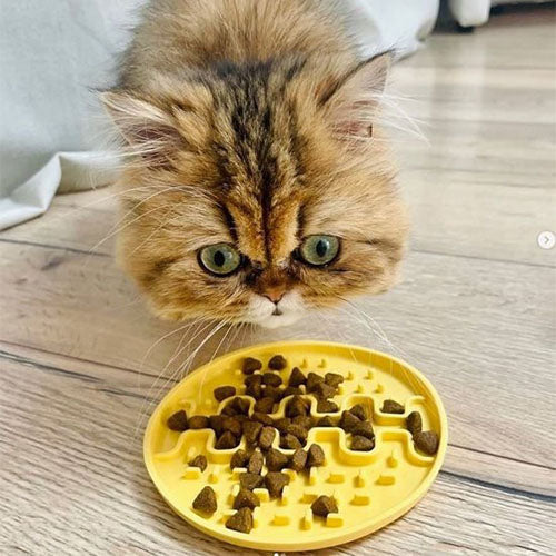 Fiboo Lollipop Mini-Leckmatte für Hunde oder Katzen ø13 cm - in verschiedenen Farben erhältlich