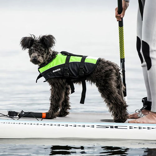 Baltic Hondenzwemvest Mascot - Verkrijgbaar in 4 kleuren en 6 maten