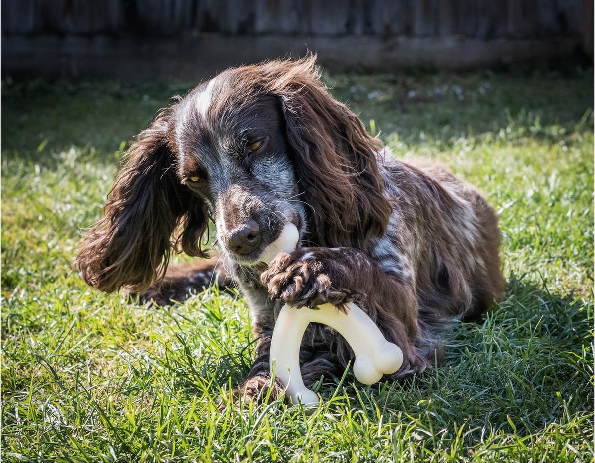 Nylabone Durachew Wishbone Wolf - 14 x 12 cm M