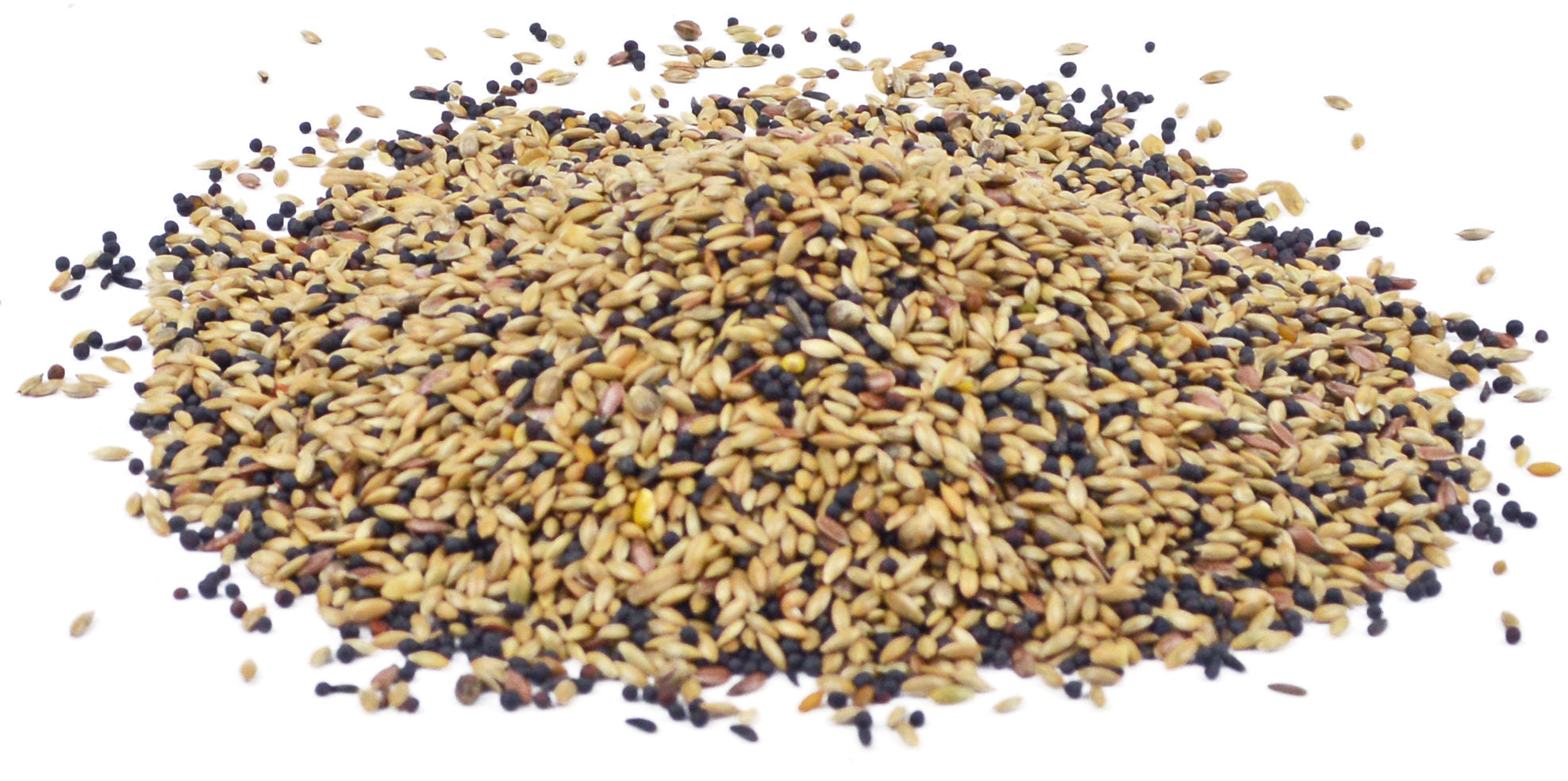 Vogelfutter Bird-X Kanarienmischung