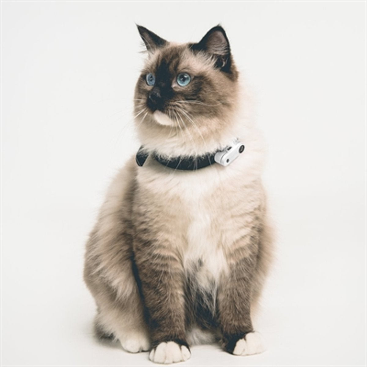 TICKLESS Zecken- und Flohabwehrmittel MINI CAT - WEISS (wiederaufladbare Version für extra lange Lebensdauer)
