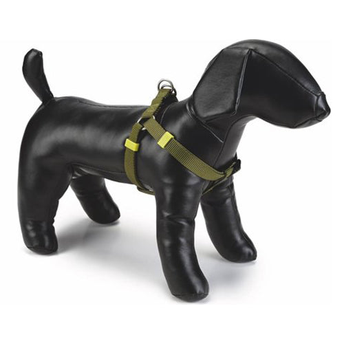 Beeztees Uni Nylon Hondenharnas/ Hondentuigje - Groen - Borstomtrek: 60-100 cm