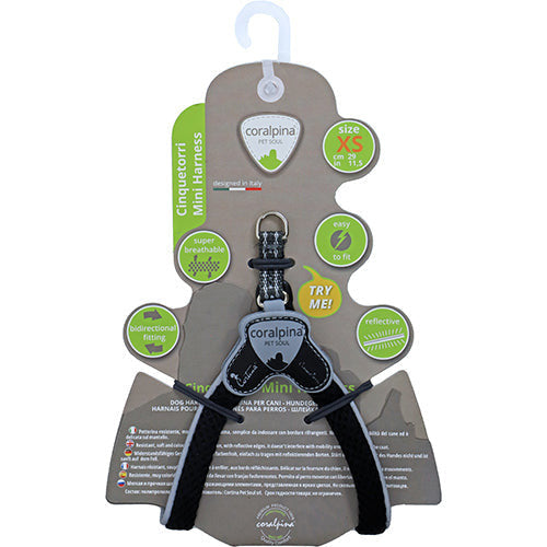 Coralpinia Minigeschirre Cinquetorri nur für sehr kleine Rassen