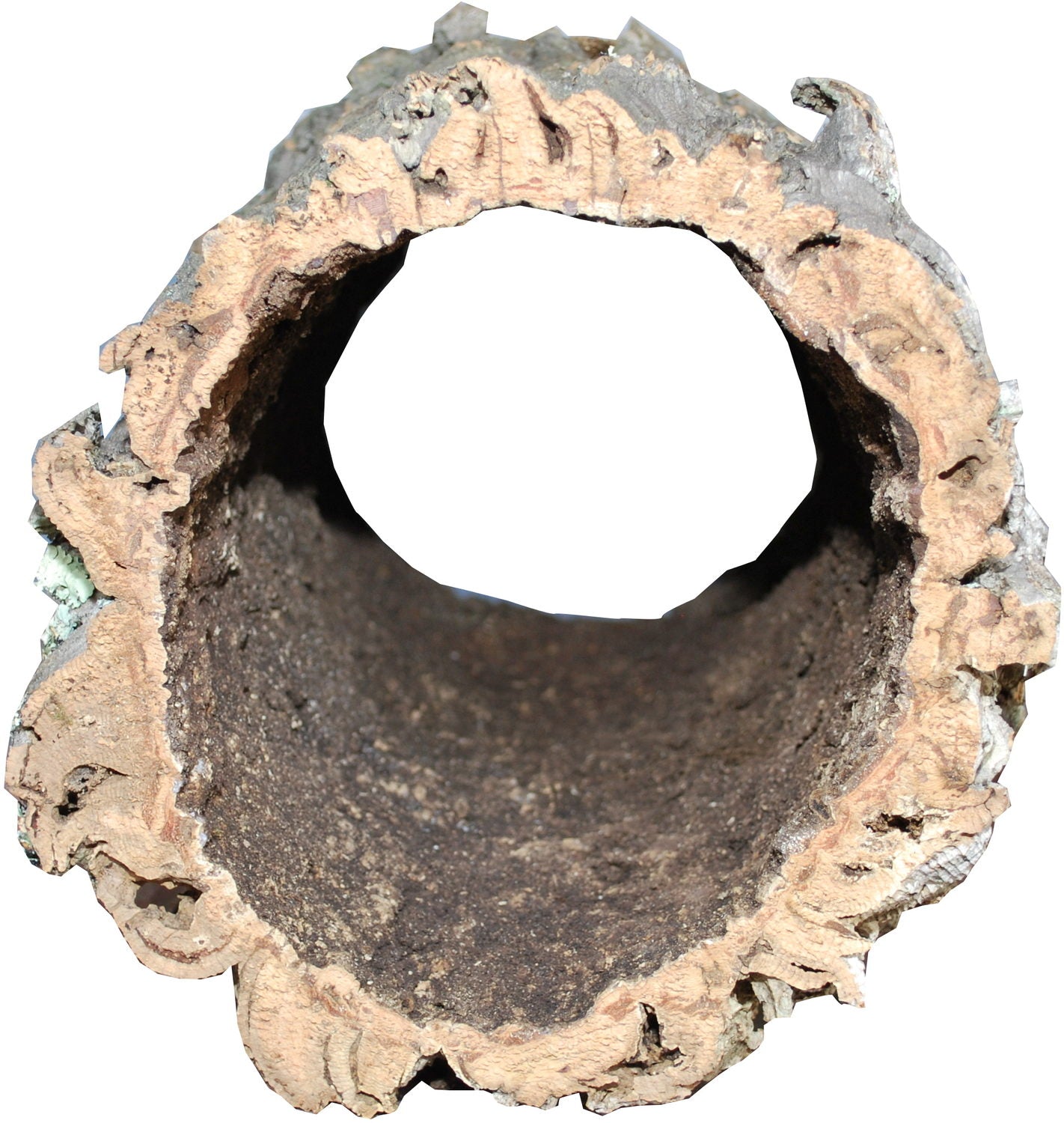 Pro Reptil kurk tube vorm in 3 maten