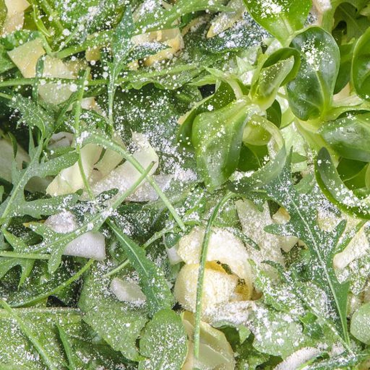 Sera Reptimineral - mineralen en vitamines voor herbivoren - 100 ml