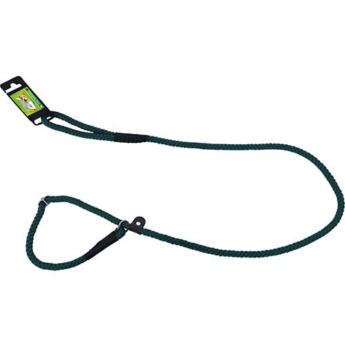 De Boon Dog Fashion Nylon Slipriem/ Retrieverlijn Met Dubbele Stop - Verkrijgbaar in 2 maten en verschillende kleuren