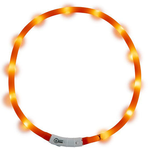Jack and Vanilla LED-Halsbänder – Erhältlich in 4 Farben