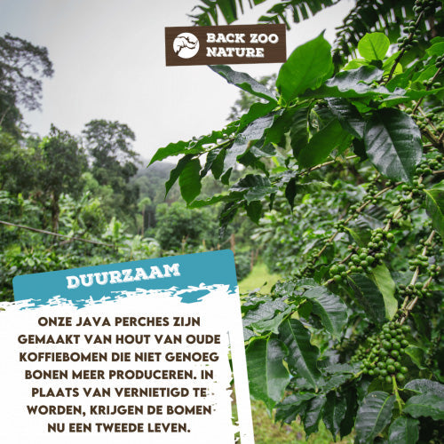 Back Zoo Nature Zitstok Multi Perch Premium X-Small - Geschikt voor: Tropische vogels, kanaries en kleine parkieten