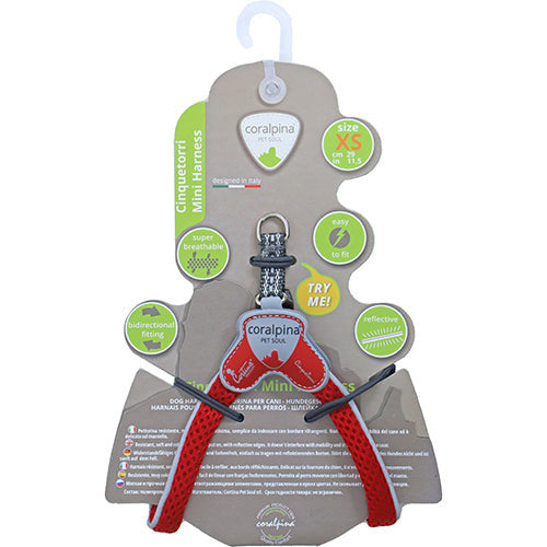 Coralpinia Minigeschirre Cinquetorri nur für sehr kleine Rassen