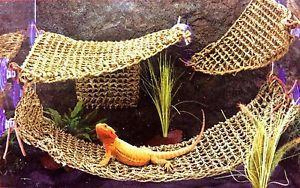 Hangmatten voor reptielen