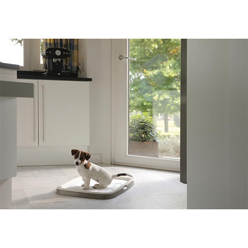 Savic puppy trainer starterkit