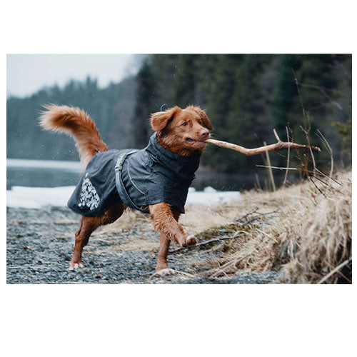 Hurtta - Hundemantel - Regenmantel - Monsun - Brombeere - Heidelbeere