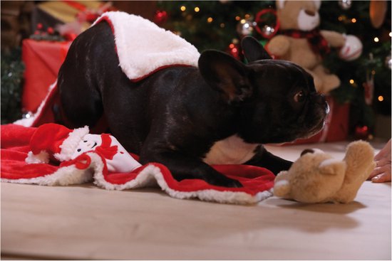 Croci - Kerstdeken met Kerstman - Hondendeken - Kattendeken - 100X70 cm