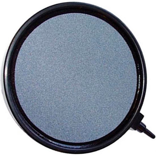 Luchtsteen ronde schijf in verschillende maten