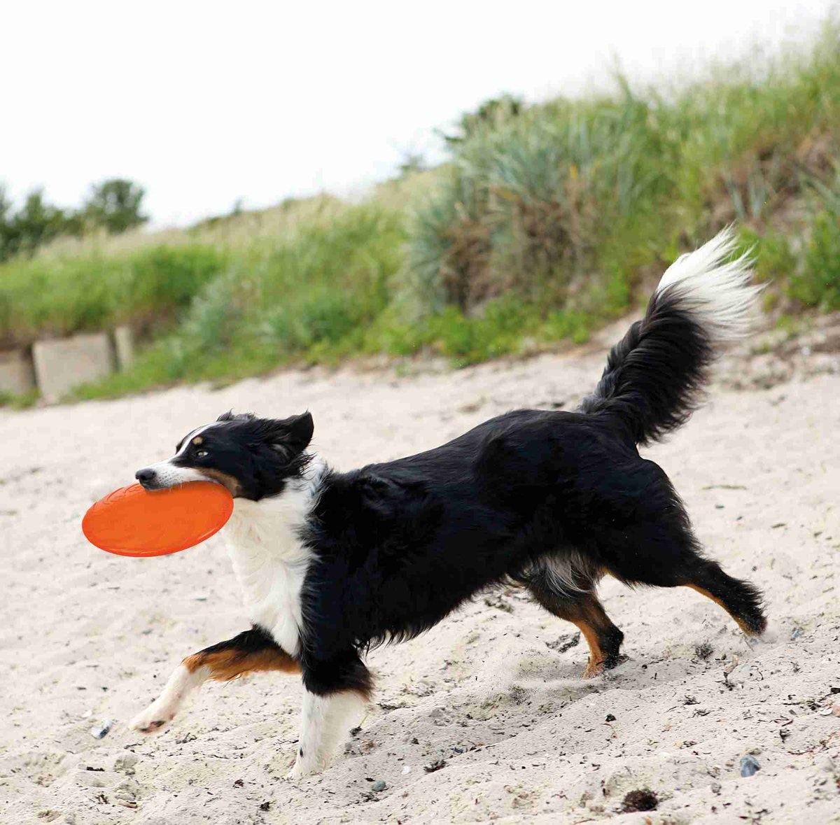 Trixie TPR Dog Disc - frisbee ø 18 cm